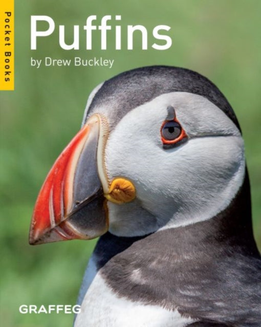 Book cover of: Puffins (Pocket Books). By: Drew Buckley