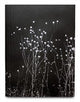 Book cover of: Uncanny. By: Léonard Pongo