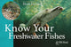 Book cover of: Know Your Freshwater Fishes. By: Mark Everard