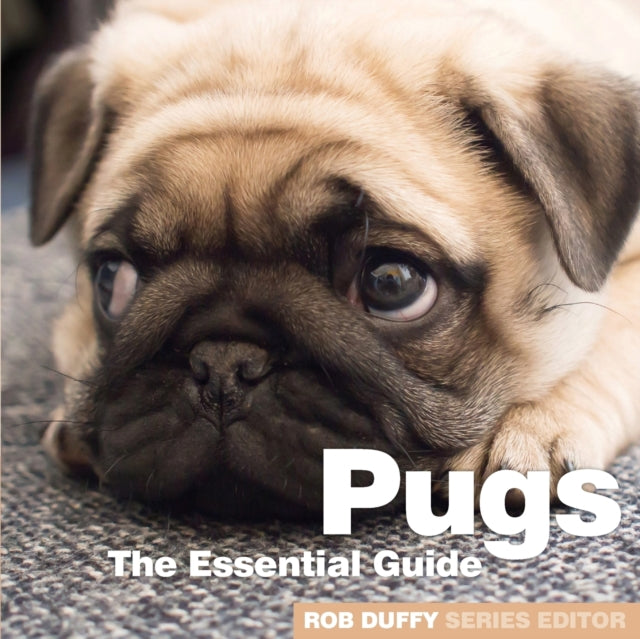 Book cover of: Pugs