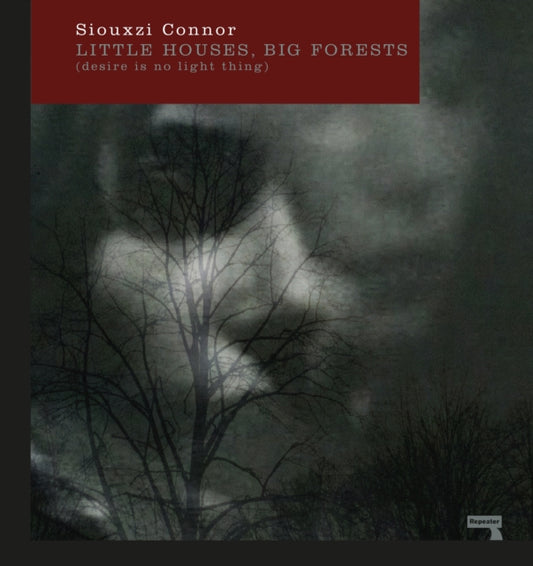 Book cover of: Little Houses, Big Forests. By: Siouxzi Mernagh