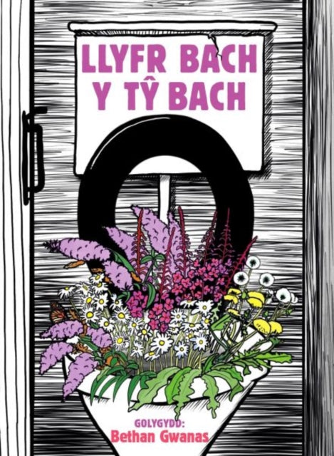 Llyfr Bach y Ty Bach 9781911584629 Bethan Gwanas
