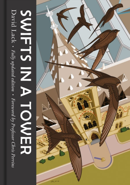 Swifts in a Tower 9781911604365 David Lack
