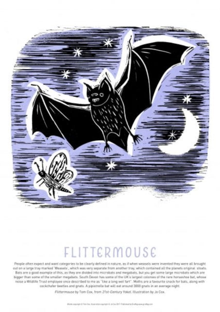 Book cover of: Tom Cox's 21st Century Yokel Poster: Flittermouse