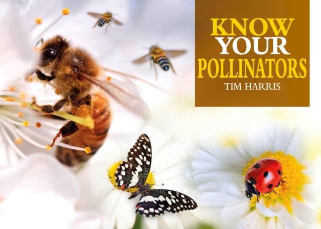 Book cover of: Know Your Pollinators. By: Harris, Tim