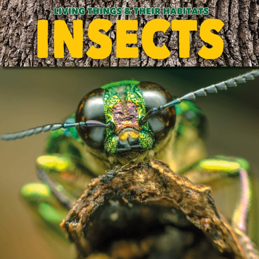 Book cover of: Insects. By: Grace Jones