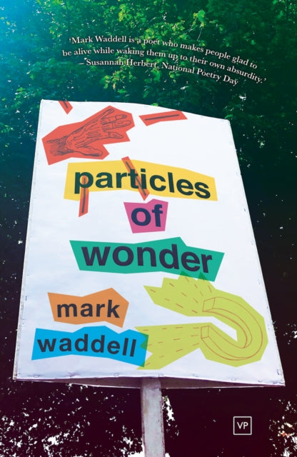 Book cover of: Particles of Wonder. By: WADDELL
