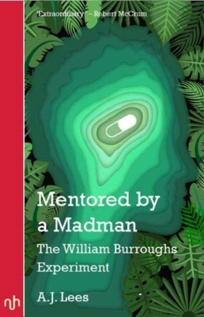 Book cover of: Mentored by a Madman. By: A J LEES
