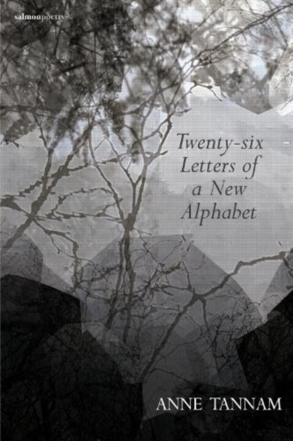 Book cover of: Twenty-six Letters of a New Alphabet. By: TANNAM