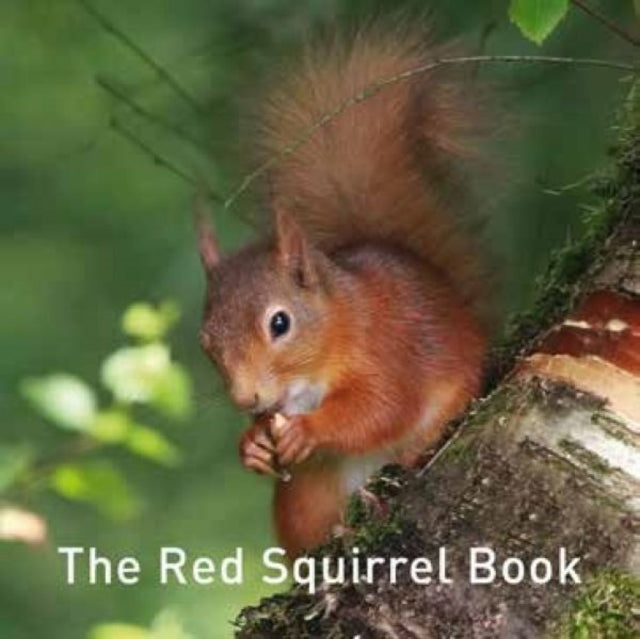 Book cover of: Nature Book Series: The Red Squirrel Book. By: Jane Russ
