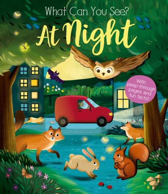 Book cover of: What Can You See At Night?