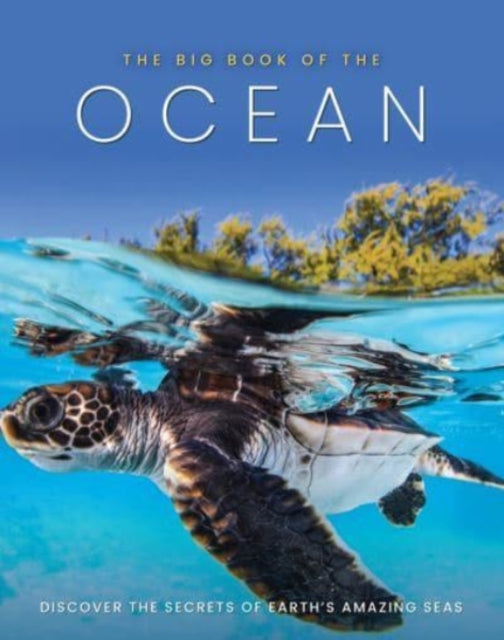 Book cover of: Big Book of the Ocean. By: Dan Peel