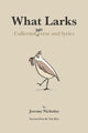 Book cover of: What Larks. By: Jeremy Nicholas