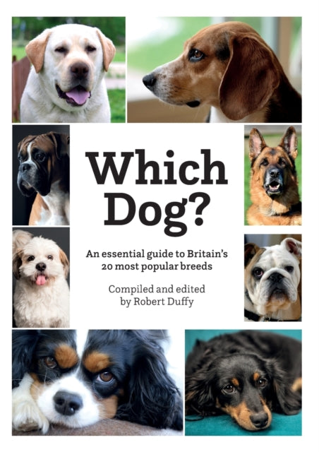 Book cover of: Which Dog