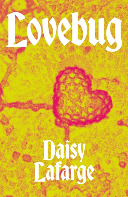Lovebug 9781913512378 Daisy LaFarge