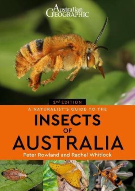 Book cover of: Naturalist's Guide to the Insects of Australia. By: Peter Rowland