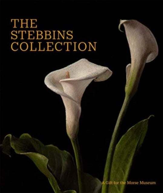 Book cover of: Stebbins Collection. By: Regina Palm