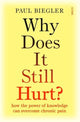 Book cover of: Why Does It Still Hurt?. By: Paul Biegler
