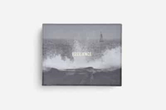 Book cover of: Resilience Cards