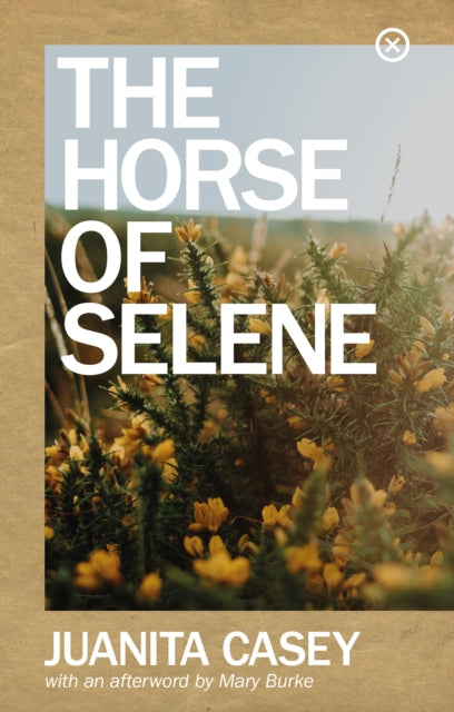 Book cover of: Horse of Selene. By: Juanita Casey