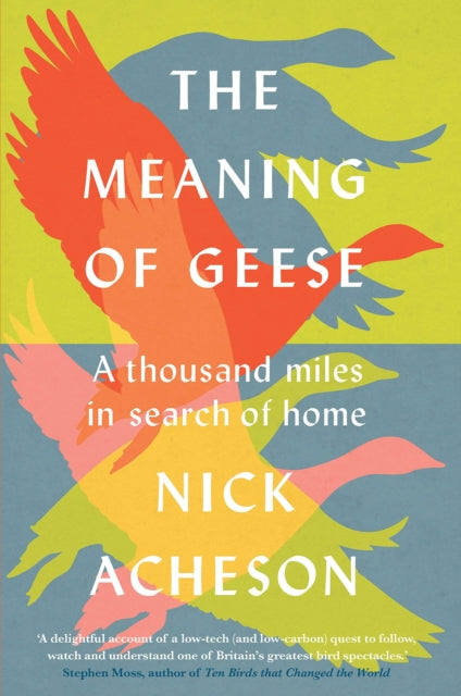 Book cover of: Meaning of Geese
