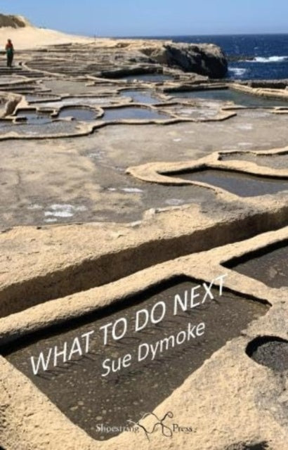 Book cover of: What To Do Next