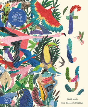 Fly: Shortlisted for the Wainwright Prize for Children's Nature and Conservation Writing 2024, A Child's Guide to Birds and Where to Spot Them