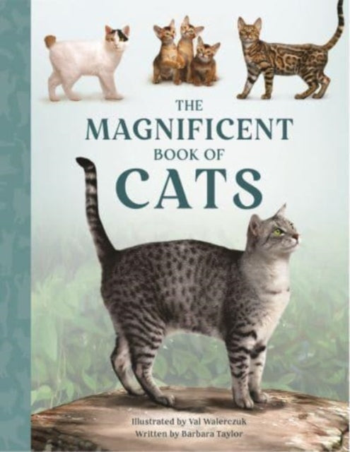 Book cover of: Magnificent Book of Cats. By: Barbara Taylor