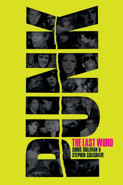 Book cover of: Punk. By: Stephen Colegrave
