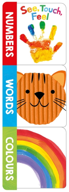 See, Touch, Feel Words, Numbers, Colours (Chunky Set)