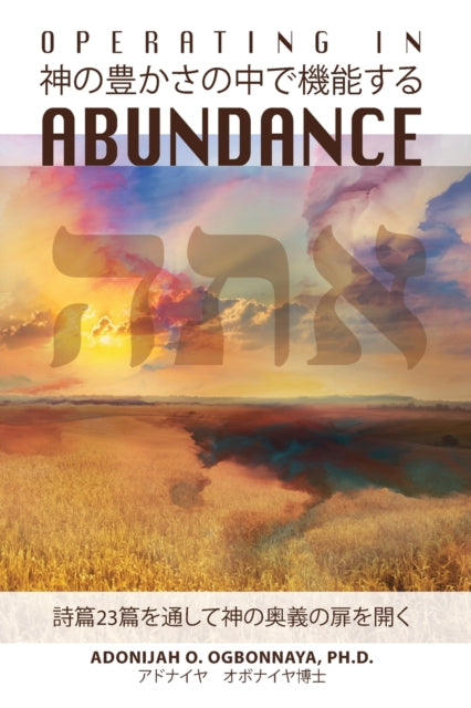Book cover of: Operating in Abundance (Japanese Edition)