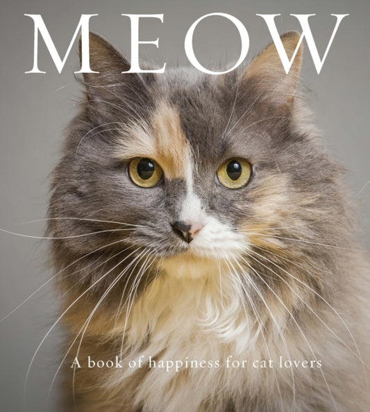 Book cover of: Meow. By: Anouska Jones