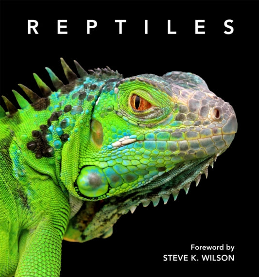 Book cover of: Reptiles. By: Steve Wilson