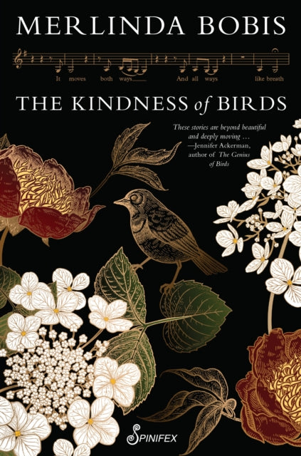Book cover of: Kindness of Birds. By: Merlinda Bobis