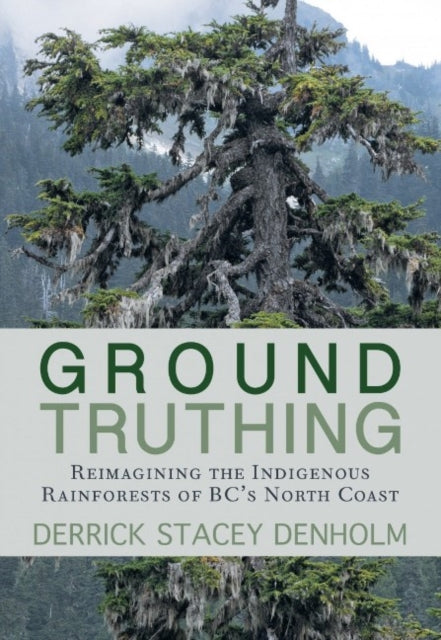 Book cover of: Ground-Truthing. By: Derrick Stacey Denholm