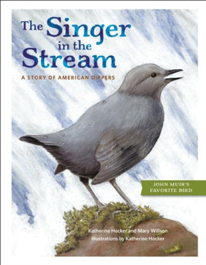 Singer in the Stream