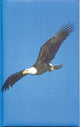 Book cover of: Eagle Blank Journal. By: Ford