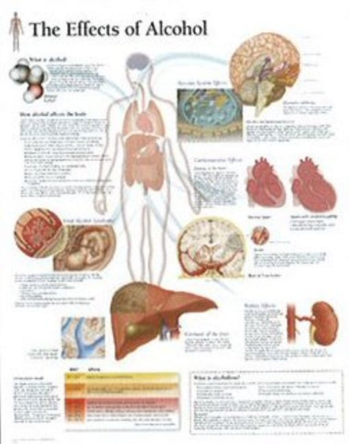 Book cover of: Effects of Alcohol Paper Poster
