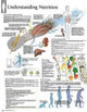 Book cover of: Understanding Nutrition Laminated Poster