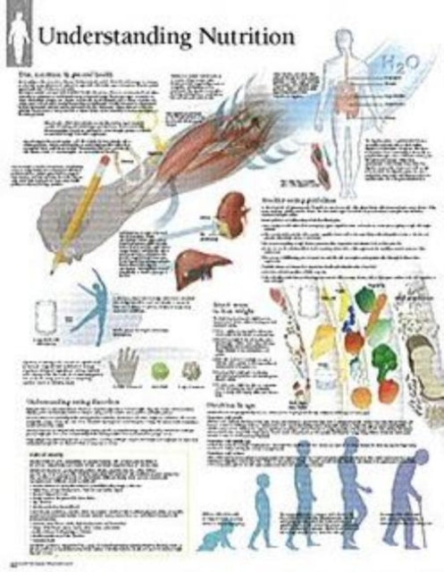 Book cover of: Understanding Nutrition Paper Poster