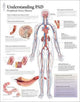 Book cover of: Understanding PAD Laminated Poster. By: Scientific Publishing