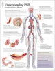 Book cover of: Understanding PAD Paper Poster