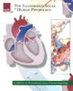 Book cover of: Illustrated Atlas of Human Physiology