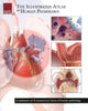 Book cover of: Illustrated Atlas of Human Pathology