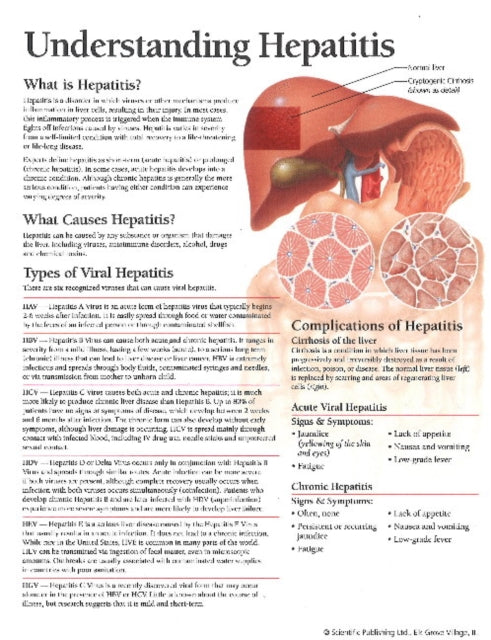 Book cover of: Understanding Hepatitis Model