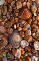 Book cover of: Agates Blank Journal
