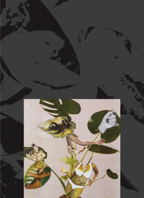 Book cover of: Kandis Williams: A Surface. By: Kandis Williams