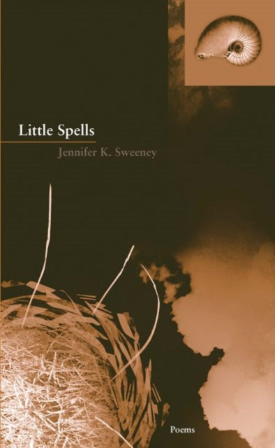 Book cover of: Little Spells. By: Jennifer K. Sweeney