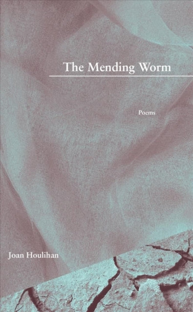 Book cover of: Mending Worm. By: Joan Houlihan