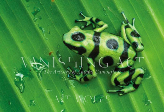 Book cover of: Vanishing Act. By: Art Wolfe